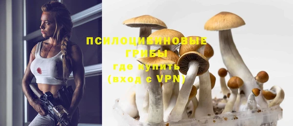 бутират Аркадак