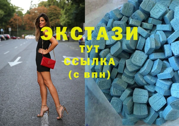 прущие грибы Сосновый Бор