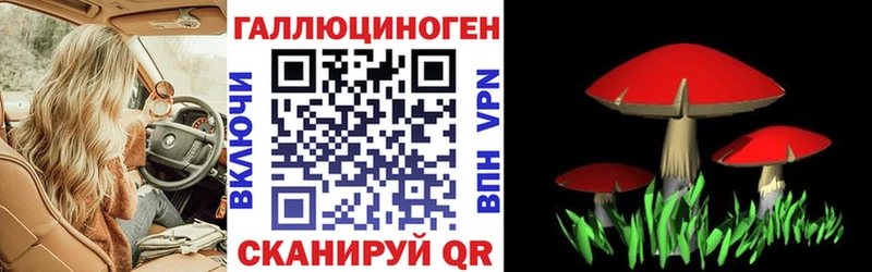 Псилоцибиновые грибы мицелий  Олонец 